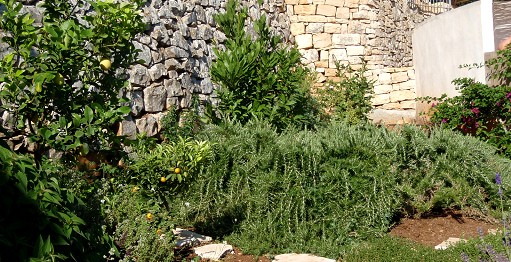 Herb garden